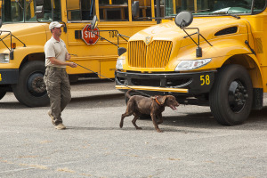 K2-12-085 Canine Demo-Elks-037